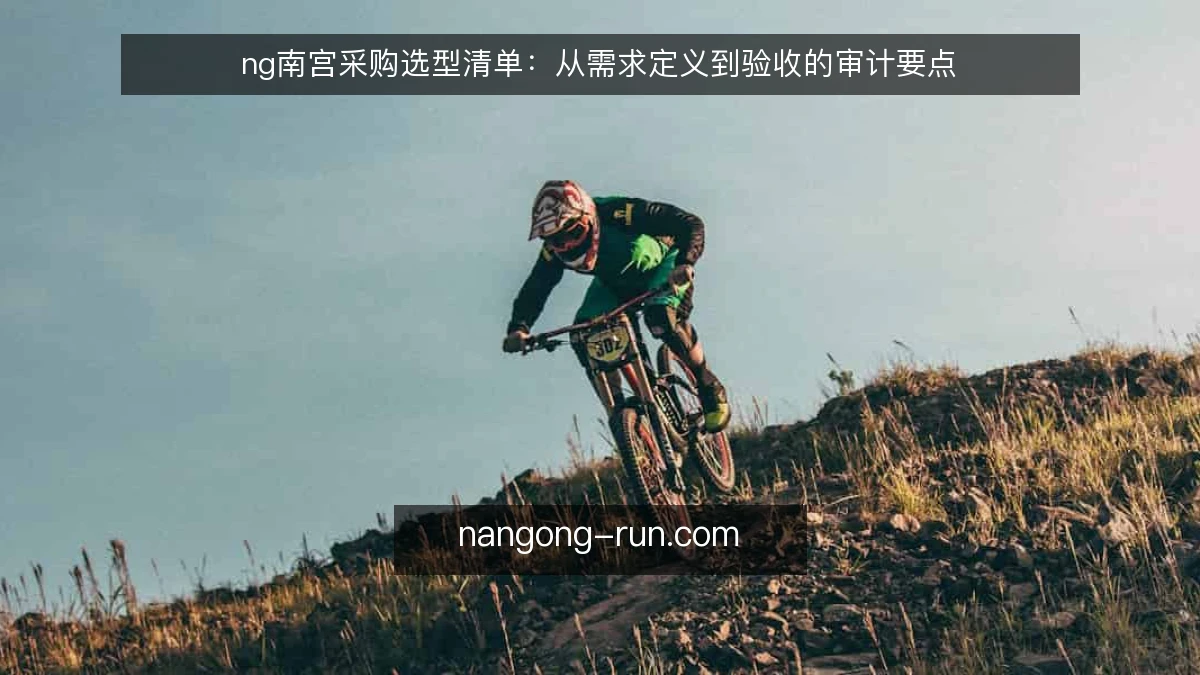 ng南宫采购选型清单:从需求定义到验收的审计要点