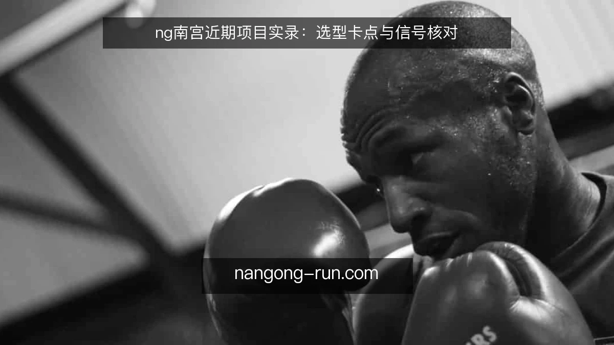 ng南宫近期项目实录：选型卡点与信号核对