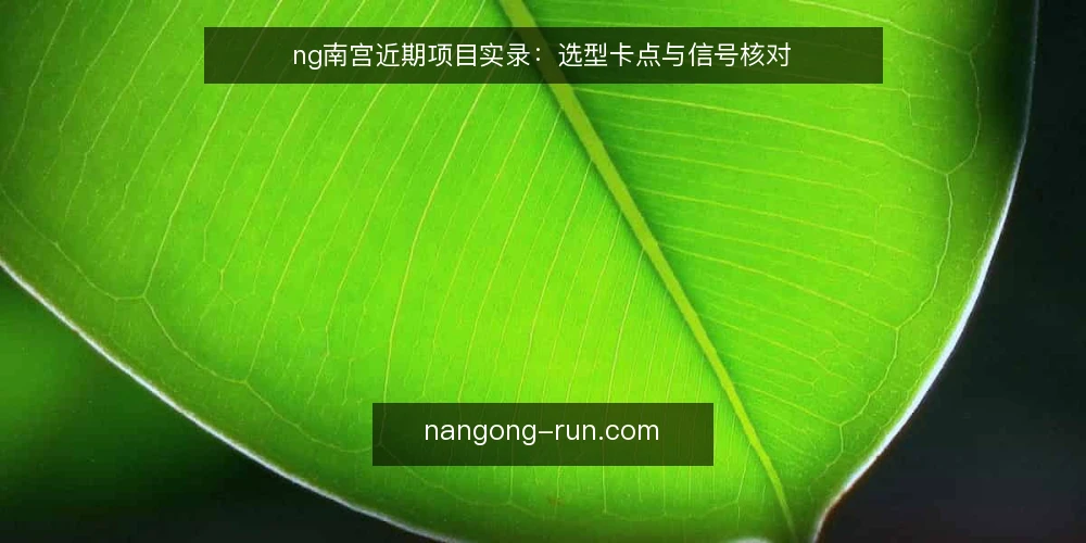 ng南宫近期项目实录：选型卡点与信号核对 — 近期选型压力从哪来 配图