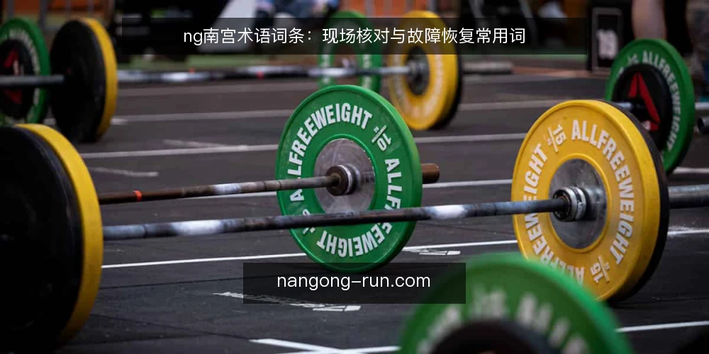 ng南宫术语词条：现场核对与故障恢复常用词 — 现场信号注意 配图