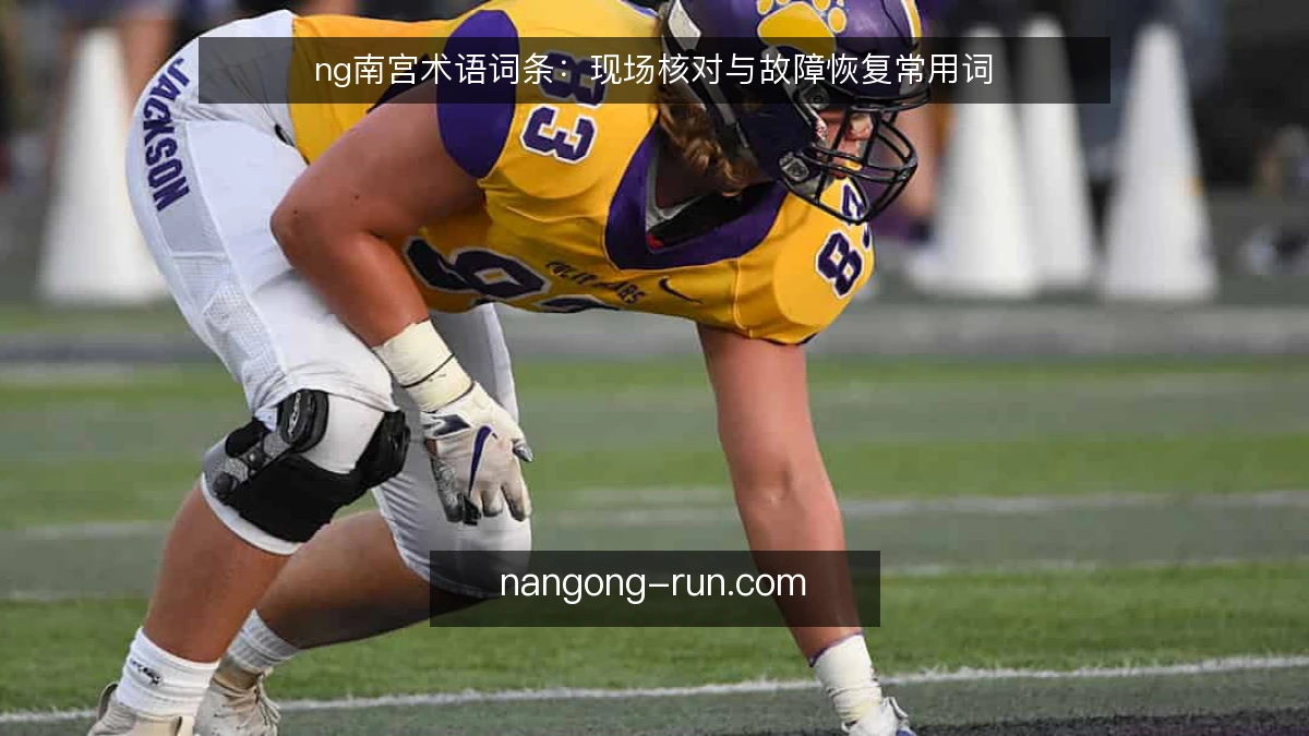 ng南宫术语词条：现场核对与故障恢复常用词