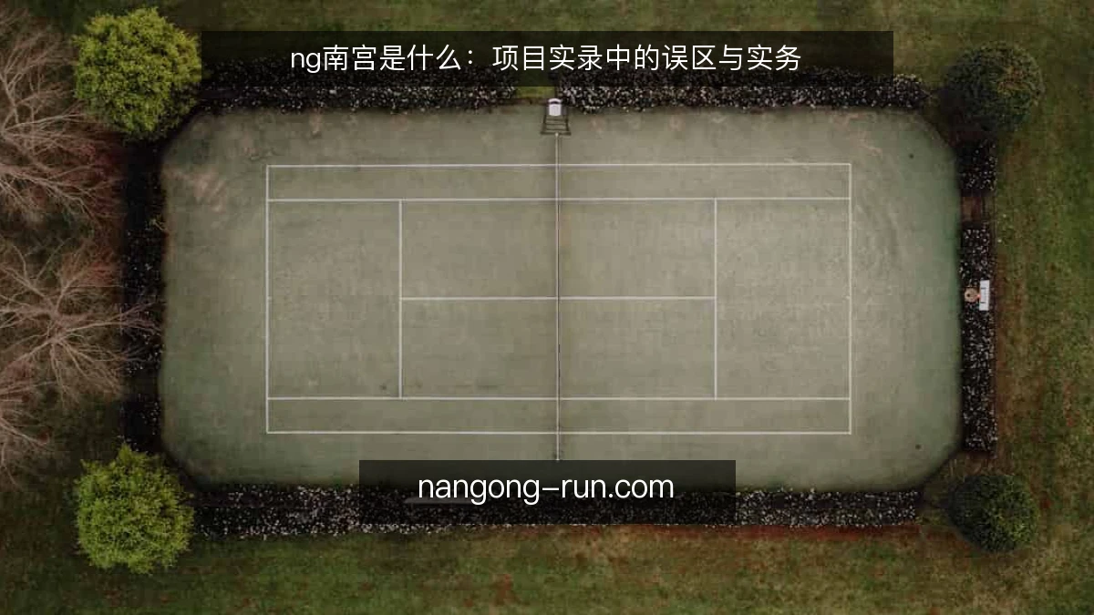 ng南宫是什么:项目实录中的误区与实务